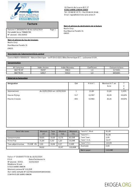 France Energies & Services Régie Municipal d'Electricité Sarre Union modèle de facture de services publics d'électricité aux formats Word et PDF, entièrement modifiable1